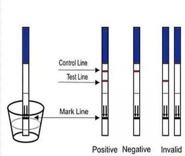 TEST DE GROSSESSE ONE STEP